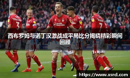 西布罗姆与诺丁汉激战成平局比分揭晓精彩瞬间回顾